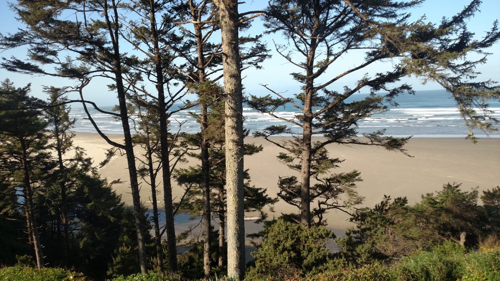 The Gorgeous View From Bed - Tyee Lodge