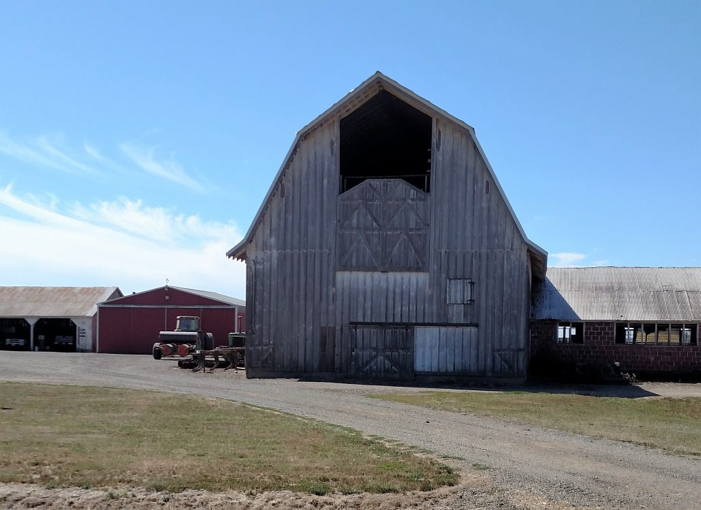 An Olde Barn along the CBBT (2)