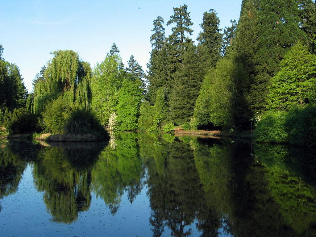 Laurelhurst Park by Brian Lopez