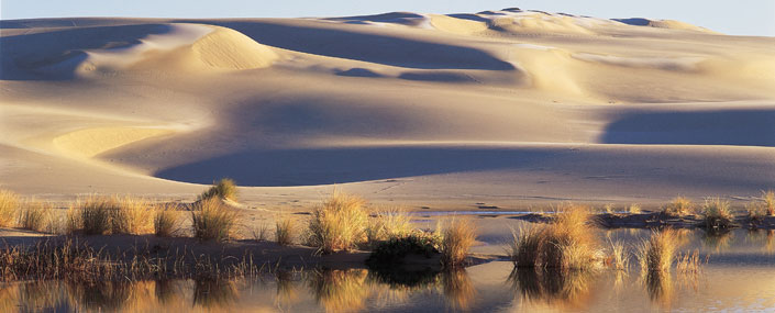 Oregon Dunes - Florence, OR Weekend at Tyee Lodge… Part trois (three) – Trivia?